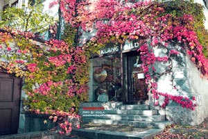 江苏男篮胜出，让对手望尘莫及