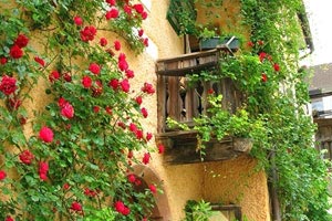 深圳男篮不敌吉林队，反思失误