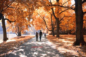 西班牙人主场告捷，排名逐渐上升